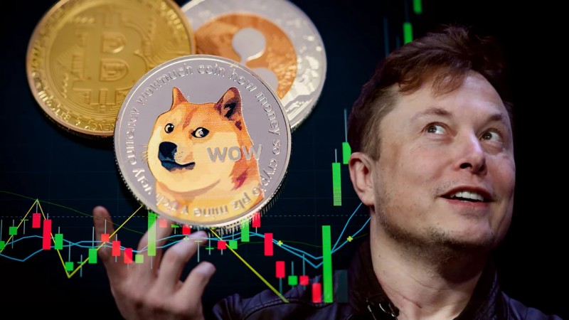 Musk Effect on Dogecoin - ultima markets