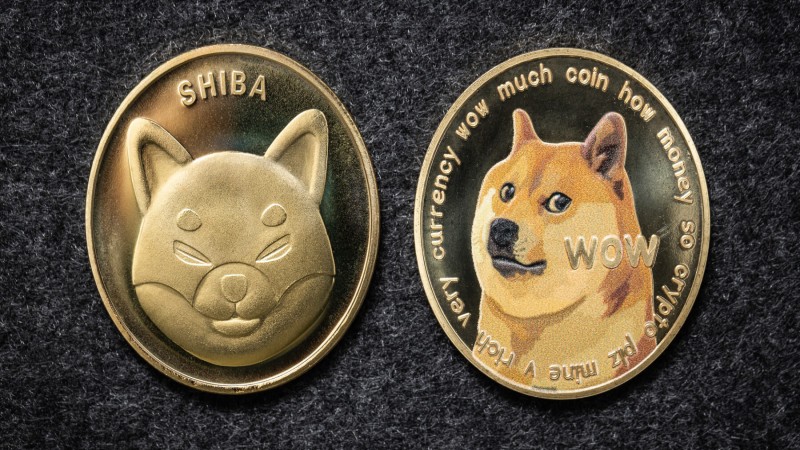 Shiba Inu ShibArmy community - ultima markets